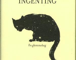Ramt af ingenting – en glemmebog af Ida Jessen