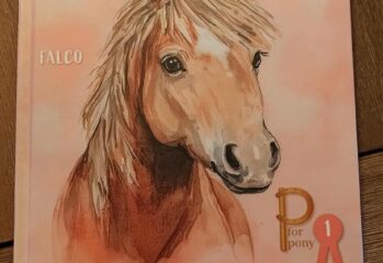 Projekt pony af Charlotte Berwald